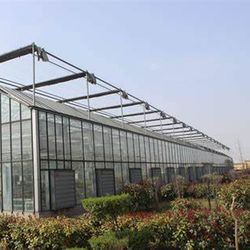 36 Inch 50 Inch 54 Inch 60 Inch Greenhouse Ventilation Axial Exhaust Fan Wall Mounted AC Extractor Fan