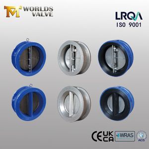 Stainless Steel CF8/CF8m Cast Ductile Iron Wafer Type Duplex Butterfly Double Door Disc Dual Plate/Flap/ Swing Check Valve Pn10/Pn16 or 10K/16K Class150 150lb