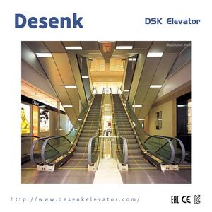 FUJI Outdoor Escalator Vvvf Escalator with Vvvf Escalator Price