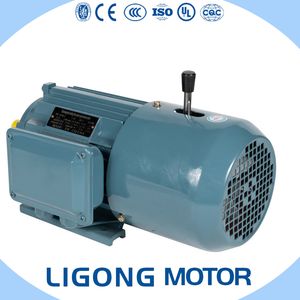 Yej2112m-6 Yej2 Series Three-Phase Induction Electromagnetic Motor 2.2kw 960rpm for Pump Fan