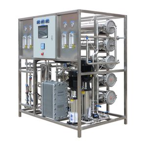 2000lph Industrial Double Stage Water Purifier Machine with RO System and EDI Equipment
