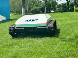 for Sale at a Low Price Home-Use Lawn Mower Easy to Operate