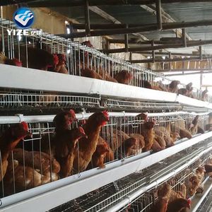 Good Price Electric Galvanized Chicken Battery Cage for Farm