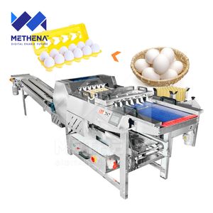 Automatic Dozen Poultry Egg Packing Machine Egg Sorting and Packing Machine for Egg Tray