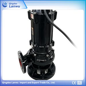Submersible Sump Sewage Pump, Larger-Flow, Cast Iron, with CE Certificates