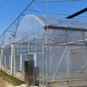 Best Quality Green House Film Plastic Greenhouse Sheet