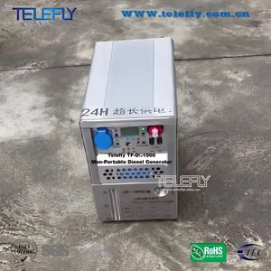 TF-Dg1000 1kw Generator Diesel Small Diesel Generator