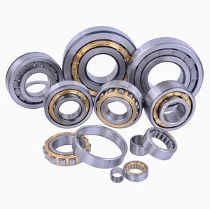 Cylindrical Roller Bearings N202e, N202ecp, N202em, NF202e, Nu202e, Nj202e, Nup202e, Nup202em