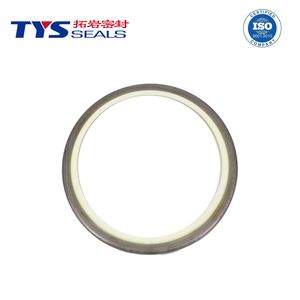 Premium Durable Oil Seals for Industrial Hydraulic Systems