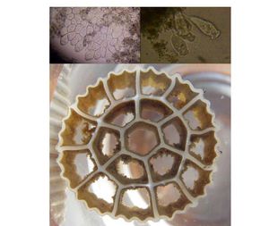 K1-K3 Bio Filter Ball Water Filter Media Mbbr for Water Treatment