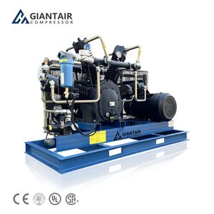 30bar 40bar Booster Pump Piston Air Compressor Specially for Pet Blowing Machine
