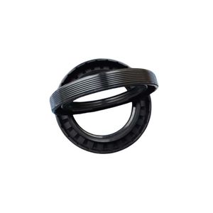 Sealing Products NBR Tg4 Oil Seal Double Lip FKM Black Brown Auto Parts Oil Seal