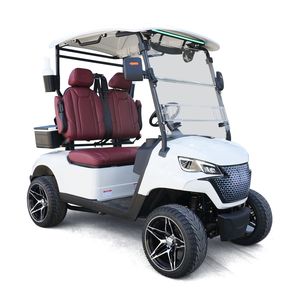 48V Electric Golf Cart 2 Seater Golf Buggy off Road Luxury Utility Vehicle with LED Light for Adults Resort Patrol