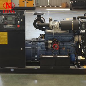 Leina Porduce Agricultural Production Mining 50kw 100kw 120kw Backup Power Open Frame Diesel Generator Set