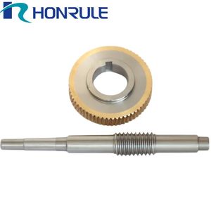 Wholesale Price Custom Industrial Non-Standard Worm Gear Set Worm Shaft Drive Pinion Small Worm Gears