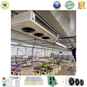 Industrial Refrigeration Cold Storage Cold Room