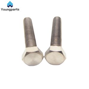 Youngparts China Metal Nut Bolt Manufacturer Custom High Quality Titanium Hexagonal Bolt