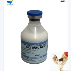 China GMP Factory Direct Newscastle Disease Vaccine Ndv Vaccine for Poultry Chicken