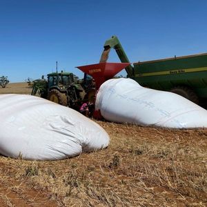 Factory 9-10mil Plastic Silage Bag Silo Grain Bag with 9FT 10FT Custom Food Packaging Grain Bags Factory Supply 6FT-12FT Sealed Grain Storage Silage Bag