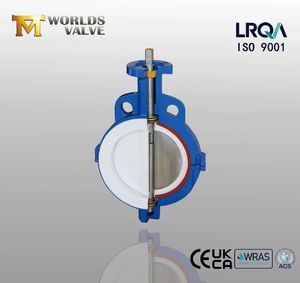 PTFE Full Lined Seated Wafer Butterfly Valve for Chemical Industrial