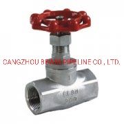 Stainless Steel 200psi / Pn16 Globe Valve (II)