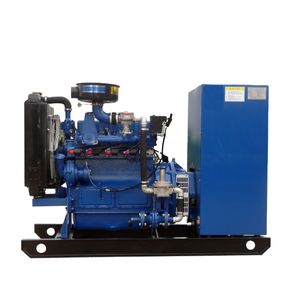 Factory Direct Sell Mini Machine for Energy with High Efficiency and High Quality Industrial Gas Generator