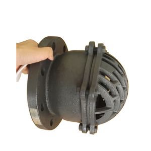 GOST/BS/ANSI Standard Cast Iron Lifting Bottom Valve Foot Valve Butterfly Valve Water Pump Hydraulic Pump Stop Valve