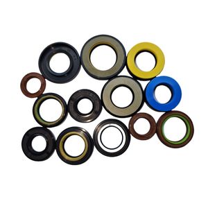 Power Steering Oil Seal Gnb1w11/Tc4p/Scjy Oil Seal 500+ Sizes HNBR /NBR/FKM Material