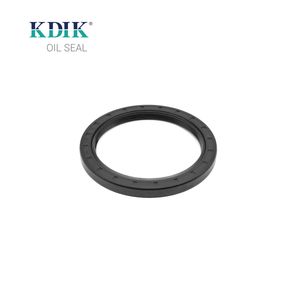 Rotary Shaft Oil Seal Tc 95*120*10 Double Lip Rubber Cover W/Spring