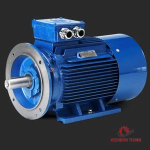 Hoyer Electric Motors Ms 56 1-2 Ie1 / 2 Pol Motors Marine-1102160-11.0-010207-A033042