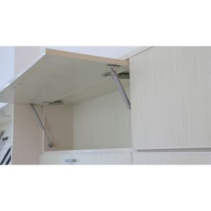 High Quality Cabinet Door Lift Gas Strut