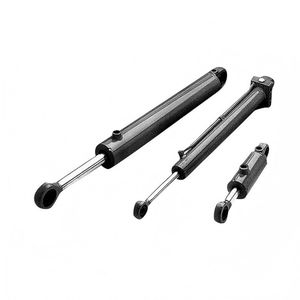 Complete Hydraulic Cylinder for Agricultural Machinery