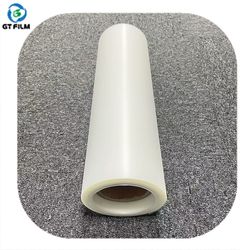 Environmentally Friendly and Biodegradable PEVA Film for Food Packaging Film