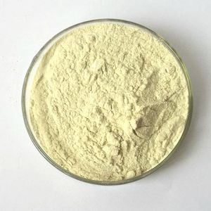 Lipase CAS 9001-62-1 in Stock