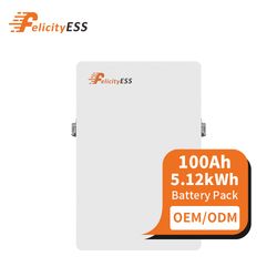 Felicityess High Efficiency Lithium Battery Pack 48V 100ah 200ah LiFePO4 Battery 48V 100ah Lithium Ion Battery for Solar System