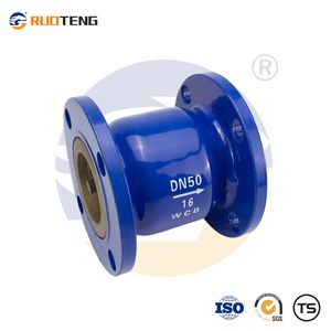 [Ruoteng] Wcb Pn16 Flanged Silent Check Valve for Water Pump System