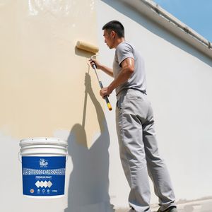 Anti-Mildew Water-Based Acrylic Resin Exterior Wall Color Waterproof Paint Coating