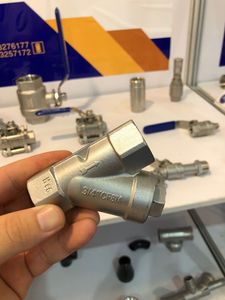 Stainless Steel 304/316 Y-Spring Check Valve