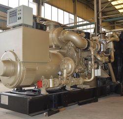 Biogas Generator with CE and ISO Approval for Biomass Power Plant