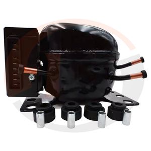 Refrigeration Compressor Spare Parts for R134A Refrigeration Compressor Bd250gh. 2