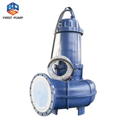 Stainless Steel 2 Inch Diameter Water Submersible Pumps Use for Seawater