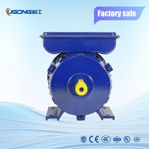 Heavy Duty Single Phase Two Capacitor Induction Electric Motor Yl112m1-4 3kw 4HP 1440rpm