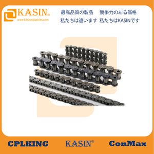 ANSI BS Premium Quality Roller Chain 25 for Reliable Performance Conveyor Chain