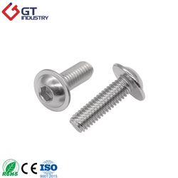 Corrosion Resistant ISO7380 ASME B18.3.4m SS304 A2-70 A2-80 SS316 A4-70 A4-80 Inox Metric M6 M8 M10 M12 Passivated Polished Hexagon Socket Button Head Screw