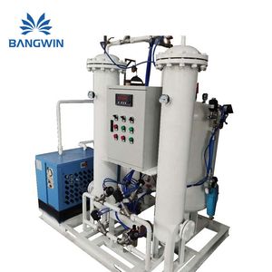Bw Gas Separation Equipment Psa Nitrogen Generator Plant for Industrial and Medical