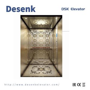 Desenk Passenger Elevator Home Elevator with China Factory Elevator Price
