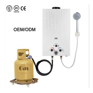 Home Appliance Wall Mounted Instant Gas Water Heater for Stable Continuous for Shower