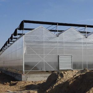Intelligent Multi Span Polycarbonate Greenhouse for Planting