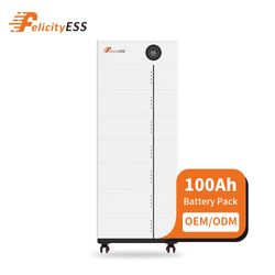 Felicityess Stackable Battery 5kwh 20kwh 40kwh LiFePO4 Battery Pack Solar System Energy Storage 100ah Lithium Battery Module