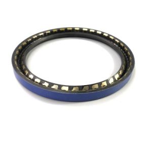 Auto Parts Rotary Shaft Single Lip NBR FKM Shaft Sc Oil Seals